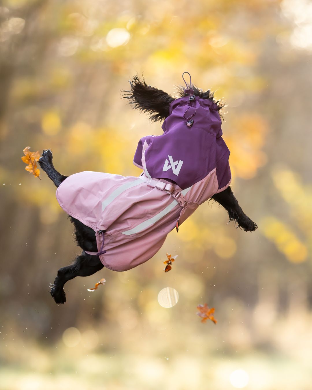 Fjord Lined Non-stop Dogwear